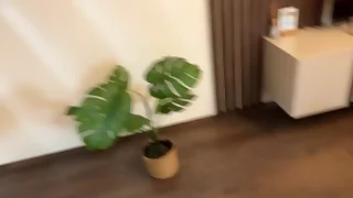 halloween pee drink and golden shower